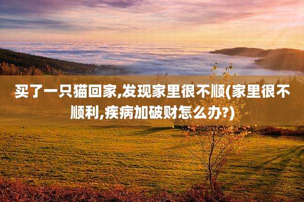 买了一只猫回家,发现家里很不顺(家里很不顺利,疾病加破财怎么办?)