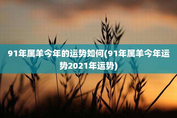 91年属羊今年的运势如何(91年属羊今年运势2021年运势)