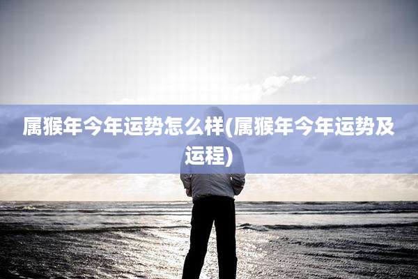 属猴年今年运势怎么样(属猴年今年运势及运程)