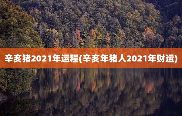 辛亥猪2021年运程(辛亥年猪人2021年财运)