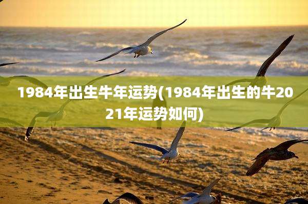 1984年出生牛年运势(1984年出生的牛2021年运势如何)