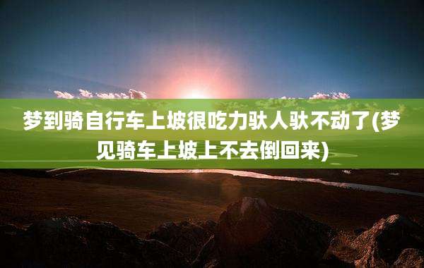 梦到骑自行车上坡很吃力驮人驮不动了(梦见骑车上坡上不去倒回来)