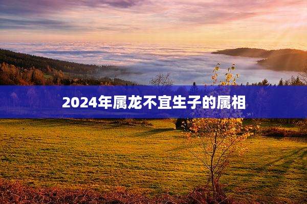 2024年属龙不宜生子的属相