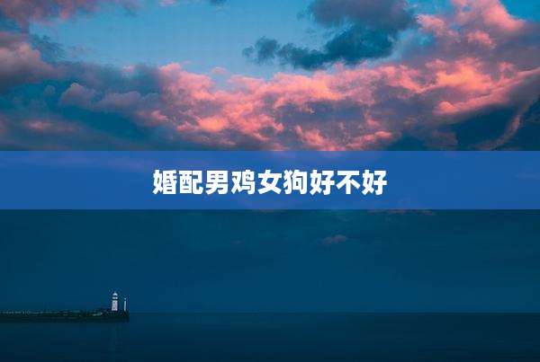 婚配男鸡女狗好不好