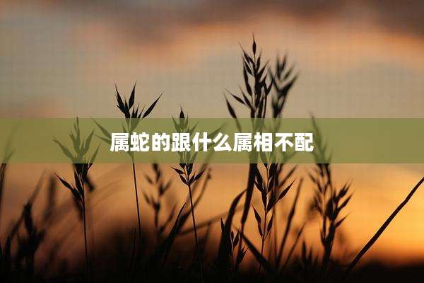 属蛇的跟什么属相不配