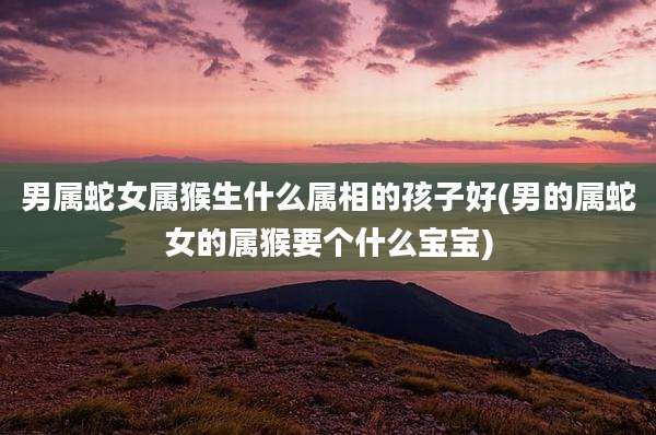 男属蛇女属猴生什么属相的孩子好(男的属蛇女的属猴要个什么宝宝)