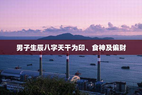 男子生辰八字天干为印、食神及偏财
