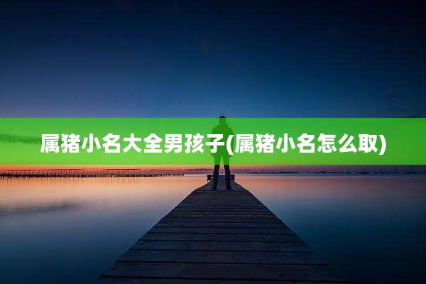 属猪小名大全男孩子(属猪小名怎么取)