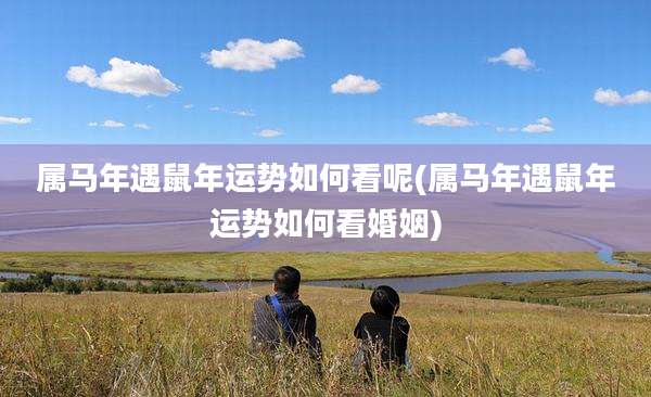 属马年遇鼠年运势如何看呢(属马年遇鼠年运势如何看婚姻)