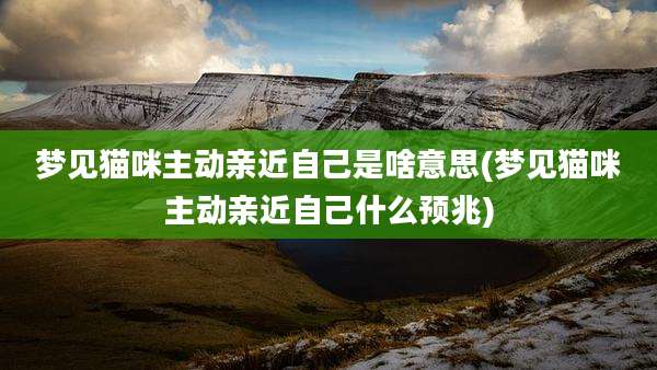 梦见猫咪主动亲近自己是啥意思(梦见猫咪主动亲近自己什么预兆)