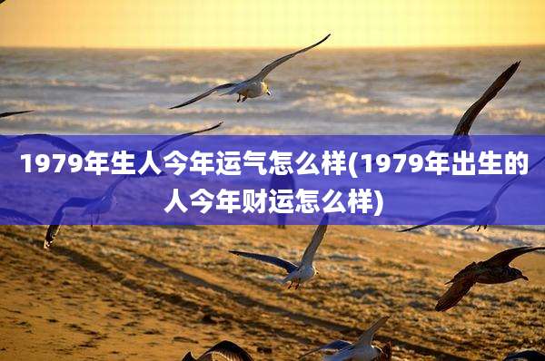1979年生人今年运气怎么样(1979年出生的人今年财运怎么样)