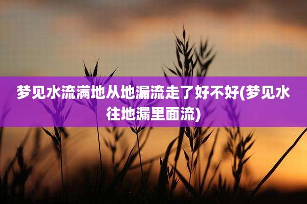 梦见水流满地从地漏流走了好不好(梦见水往地漏里面流)