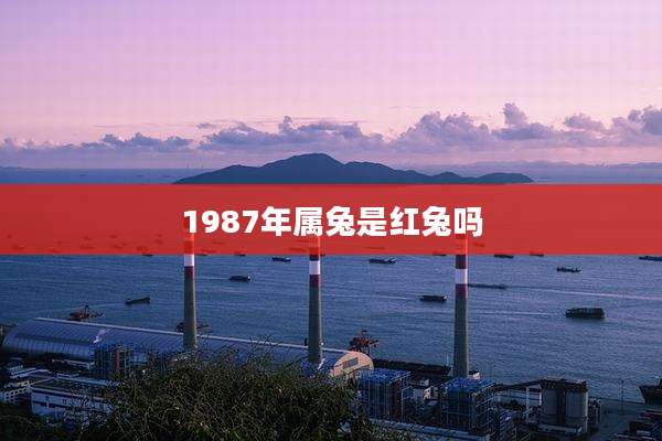 1987年属兔是红兔吗