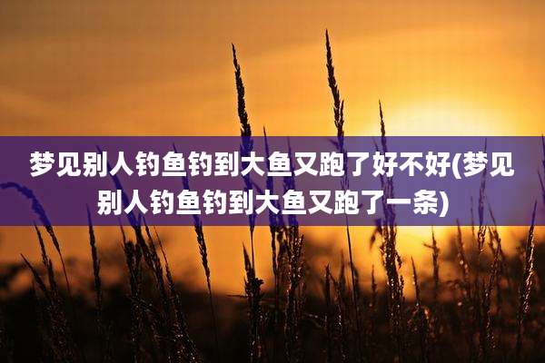 梦见别人钓鱼钓到大鱼又跑了好不好(梦见别人钓鱼钓到大鱼又跑了一条)
