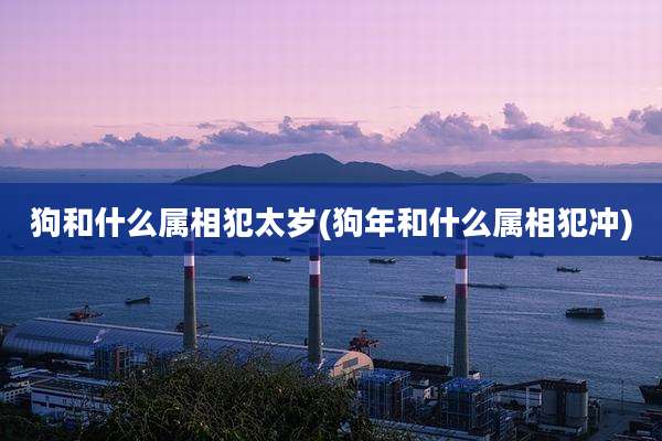 狗和什么属相犯太岁(狗年和什么属相犯冲)