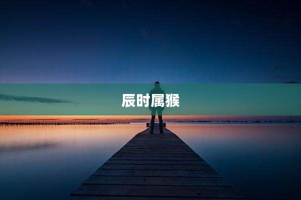 辰时属猴