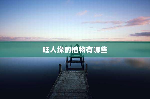 旺人缘的植物有哪些
