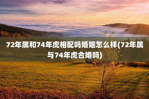 72年属和74年虎相配吗婚姻怎么样(72年属与74年虎合婚吗)