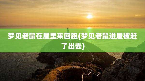 梦见老鼠在屋里来回跑(梦见老鼠进屋被赶了出去)