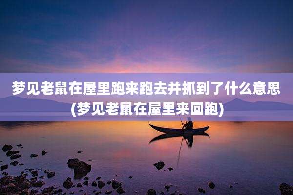 梦见老鼠在屋里跑来跑去并抓到了什么意思(梦见老鼠在屋里来回跑)