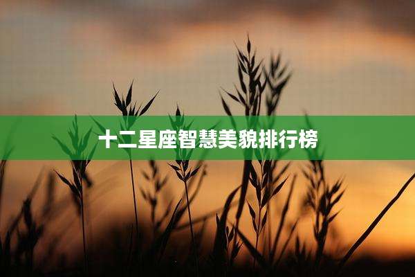 十二星座智慧美貌排行榜