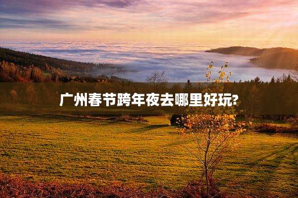 广州春节跨年夜去哪里好玩?