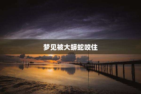 梦见被大蟒蛇咬住