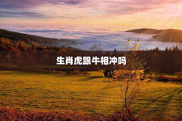 生肖虎跟牛相冲吗