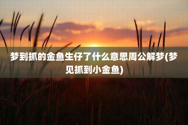 梦到抓的金鱼生仔了什么意思周公解梦(梦见抓到小金鱼)