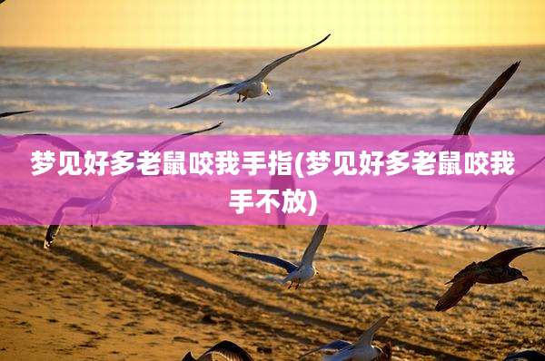 梦见好多老鼠咬我手指(梦见好多老鼠咬我手不放)