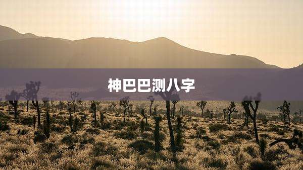 神巴巴测八字