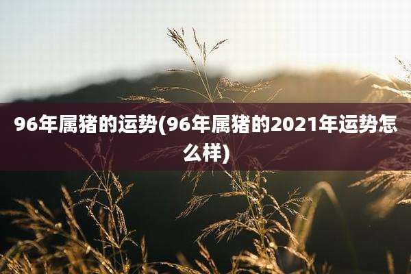 96年属猪的运势(96年属猪的2021年运势怎么样)