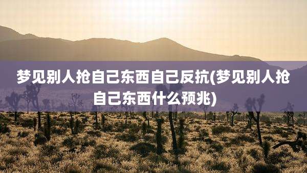 梦见别人抢自己东西自己反抗(梦见别人抢自己东西什么预兆)