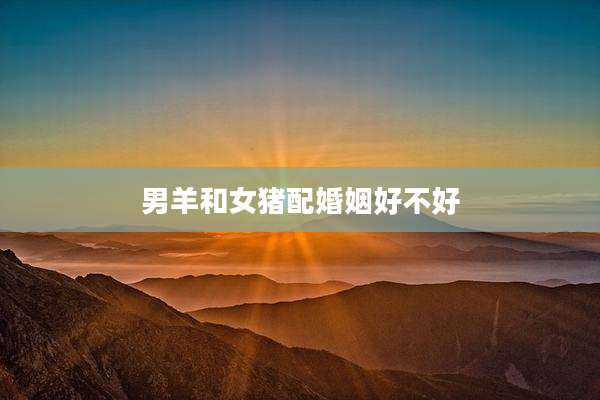 男羊和女猪配婚姻好不好