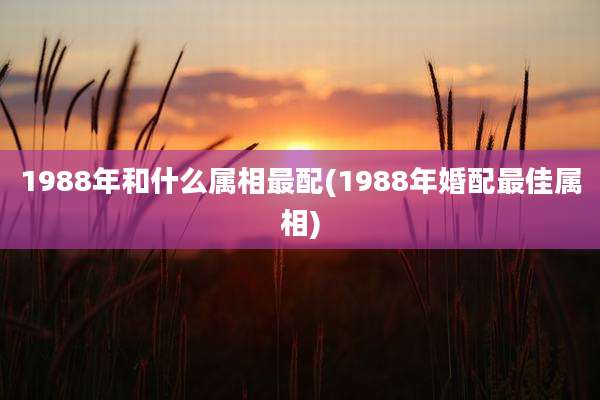 1988年和什么属相最配(1988年婚配最佳属相)