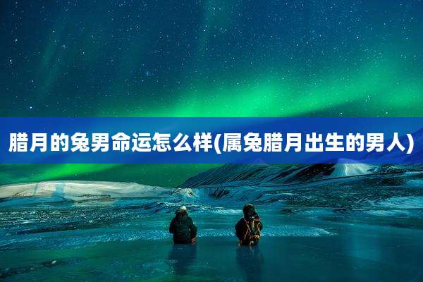 腊月的兔男命运怎么样(属兔腊月出生的男人)