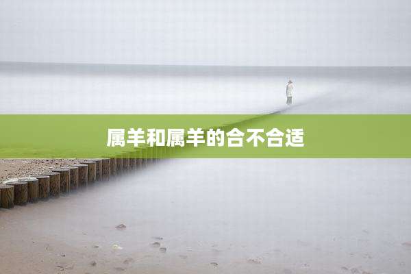 属羊和属羊的合不合适