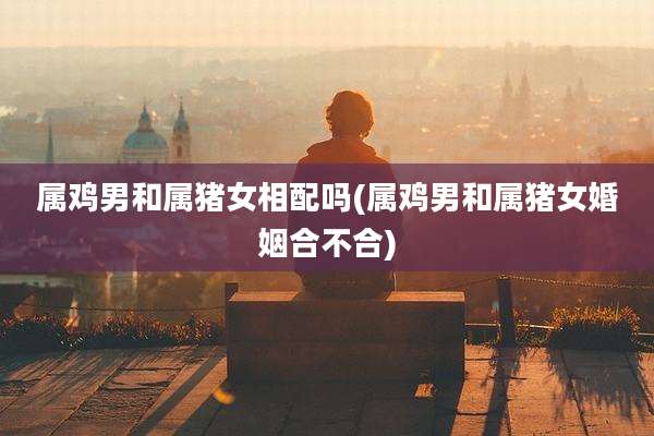 属鸡男和属猪女相配吗(属鸡男和属猪女婚姻合不合)