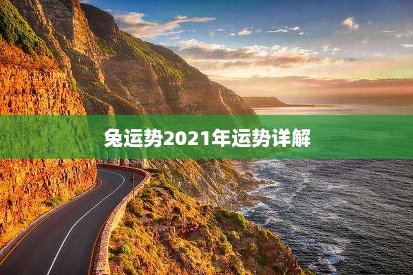 兔运势2021年运势详解