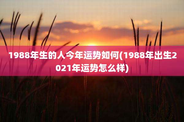 1988年生的人今年运势如何(1988年出生2021年运势怎么样)