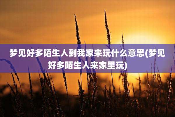 梦见好多陌生人到我家来玩什么意思(梦见好多陌生人来家里玩)