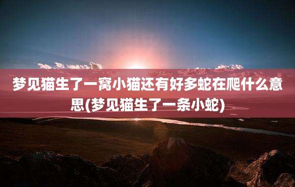 梦见猫生了一窝小猫还有好多蛇在爬什么意思(梦见猫生了一条小蛇)