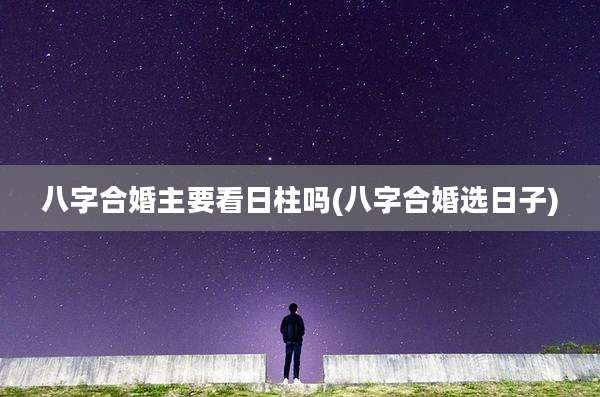 八字合婚主要看日柱吗(八字合婚选日子)
