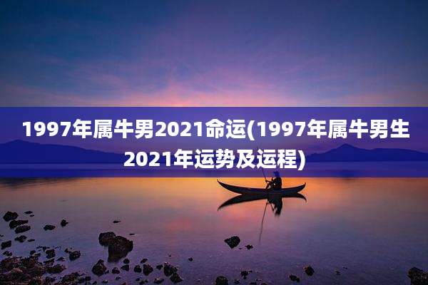 1997年属牛男2021命运(1997年属牛男生2021年运势及运程)