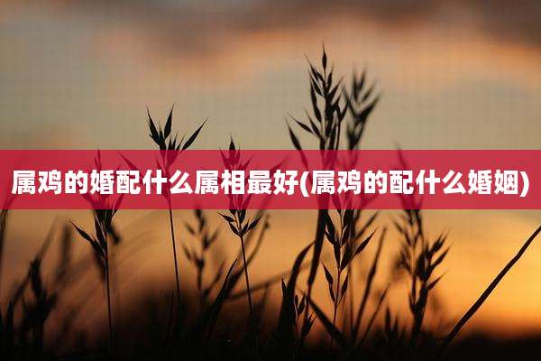 属鸡的婚配什么属相最好(属鸡的配什么婚姻)