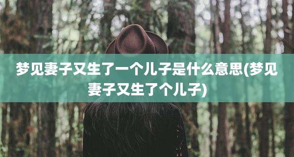 梦见妻子又生了一个儿子是什么意思(梦见妻子又生了个儿子)