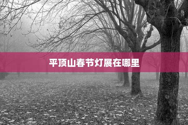 平顶山春节灯展在哪里