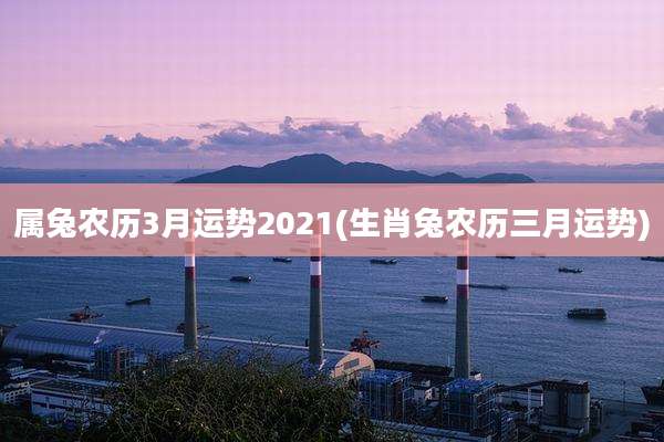 属兔农历3月运势2021(生肖兔农历三月运势)