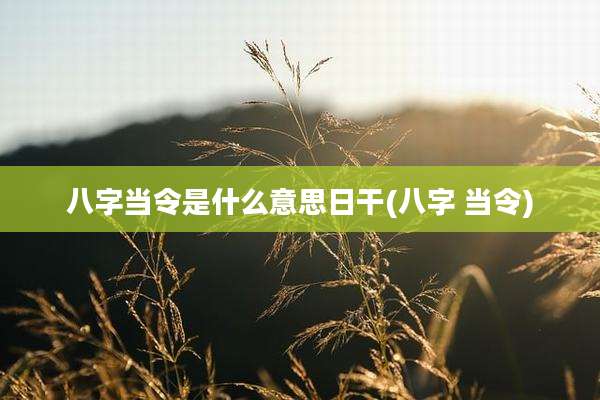 八字当令是什么意思日干(八字 当令)