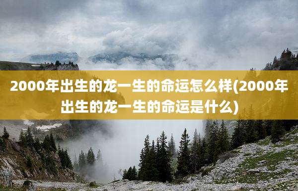 2000年出生的龙一生的命运怎么样(2000年出生的龙一生的命运是什么)